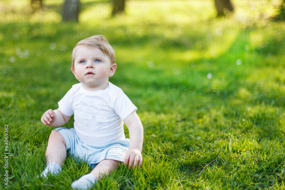 Beautiful caucasian baby boy of six months on green grass in sum Beautiful caucasian baby boy of six months on green grass in sum