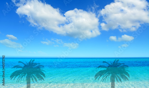 blue sea and palm shadows