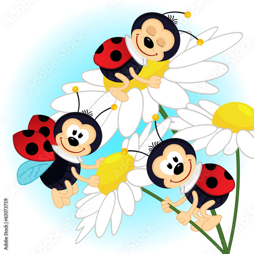 ladybug on camomile - vector illustration