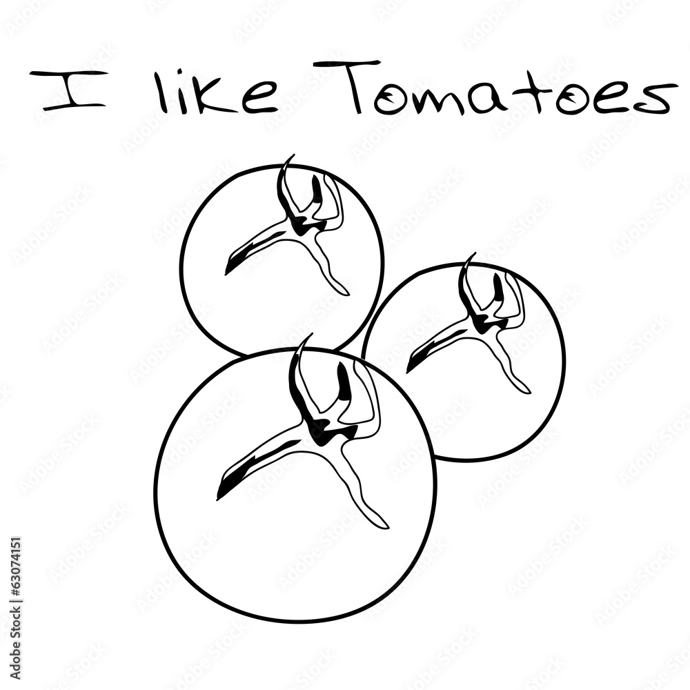 Obraz premium Gemüse Tomaten Natur Garten