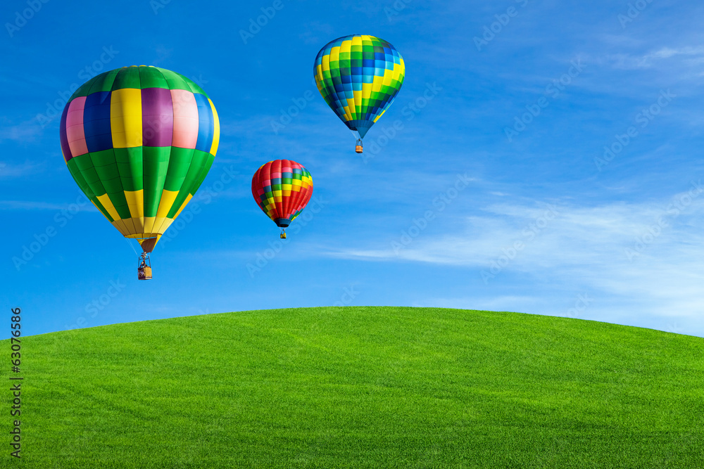 Naklejka premium Hot air balloons over green field