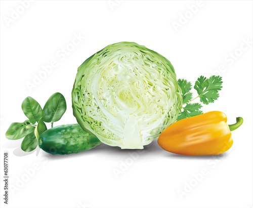 Vegetables and herbs composition. Vector