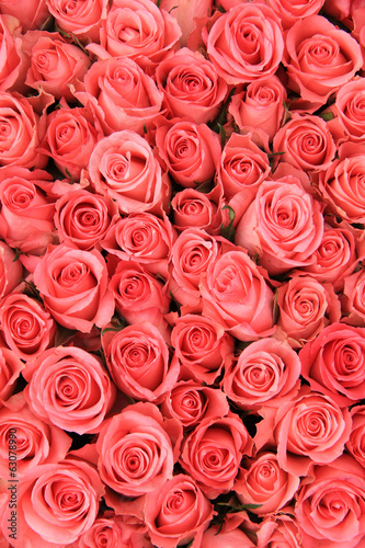 Pink roses in a bridal arrangement