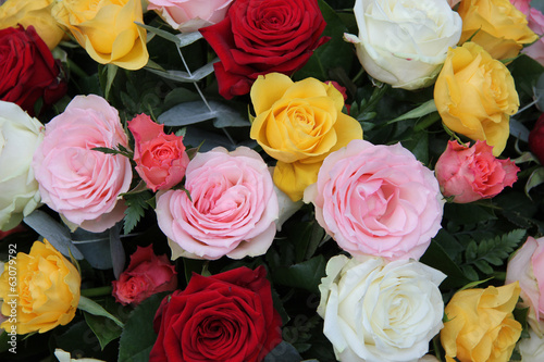 Mixed roses