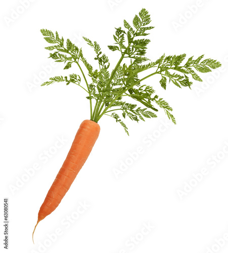 Carrot With Leaves Isolated On White