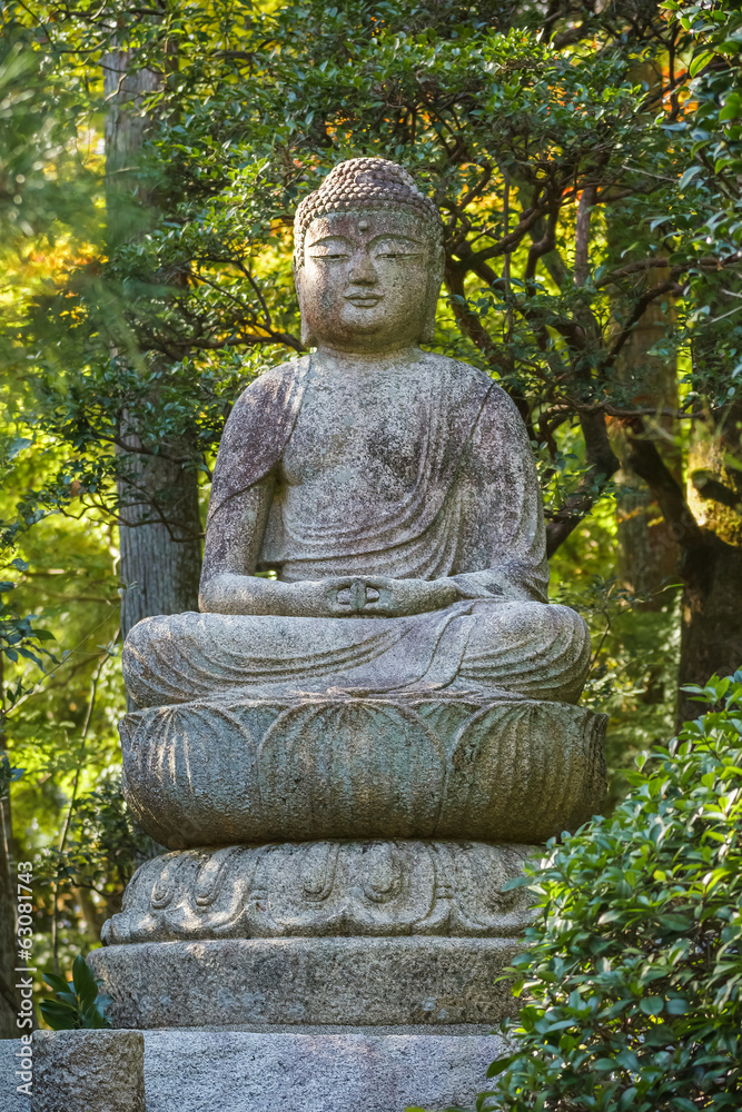 Stone Buddha Statue at Ryoanji Temple in Kyoto