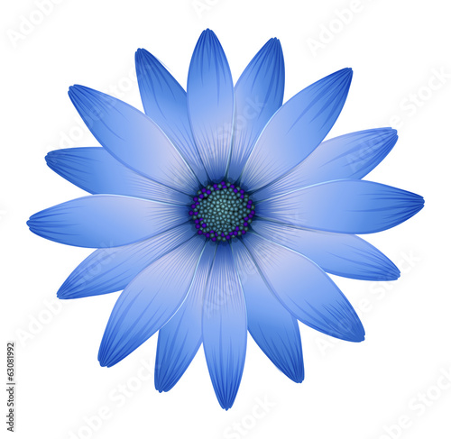 A multi-petal flower