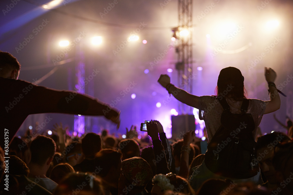 Audience Enjoying Themselves Music Concert