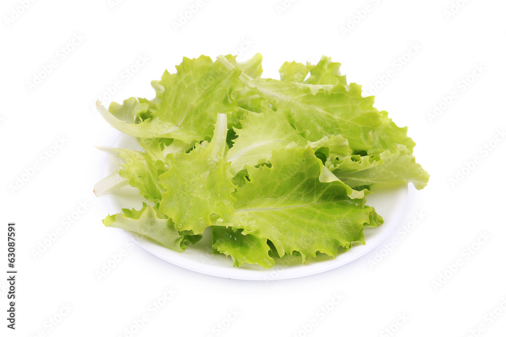 Fresh lettuce on plate close up. Fresh lettuce on plate close up.