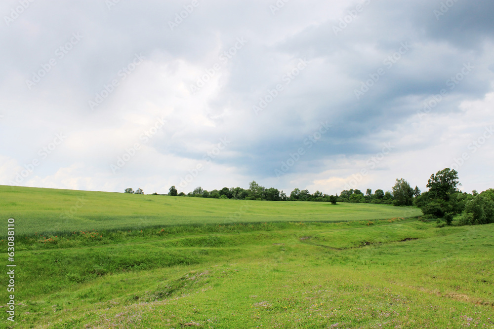 gloomy sky over the field