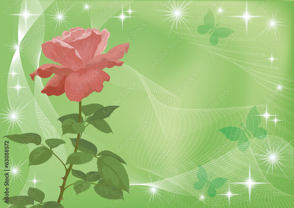 Fototapeta premium Holiday background with flower rose