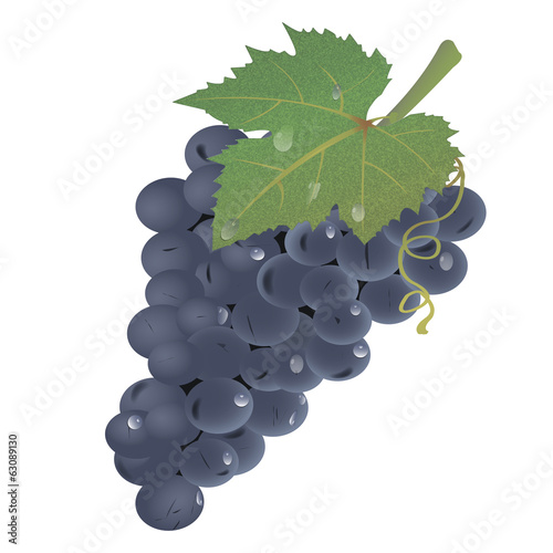 Grape