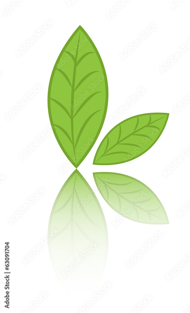 Green leaves vector