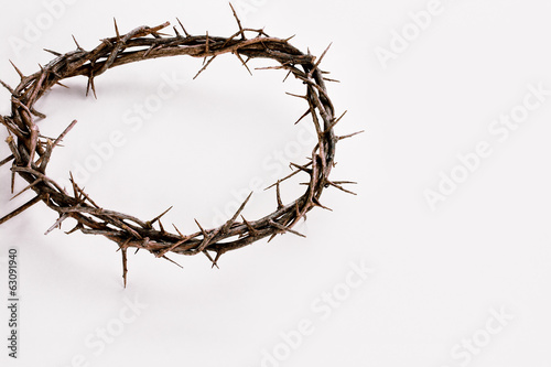 Fotografie, Tablou Crown of Thorns over White