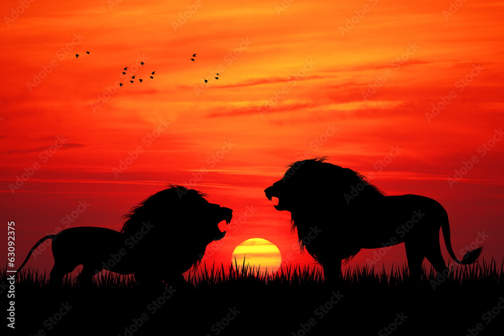 Naklejka premium Lions silhouette