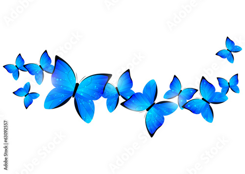 Blue butterflies border for Your design