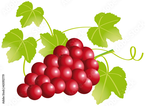 GRAPPE RAISIN ROUGE