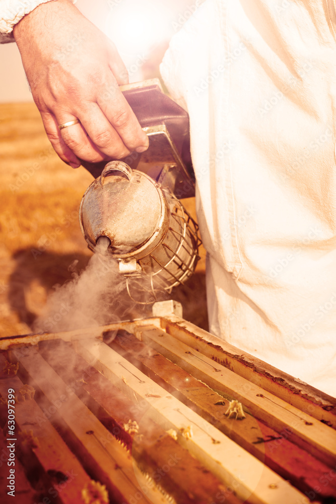 Obraz premium Beekeeping tool