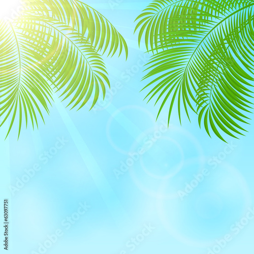 Palm on sky background