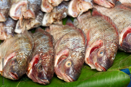 Fresh fish in the market.