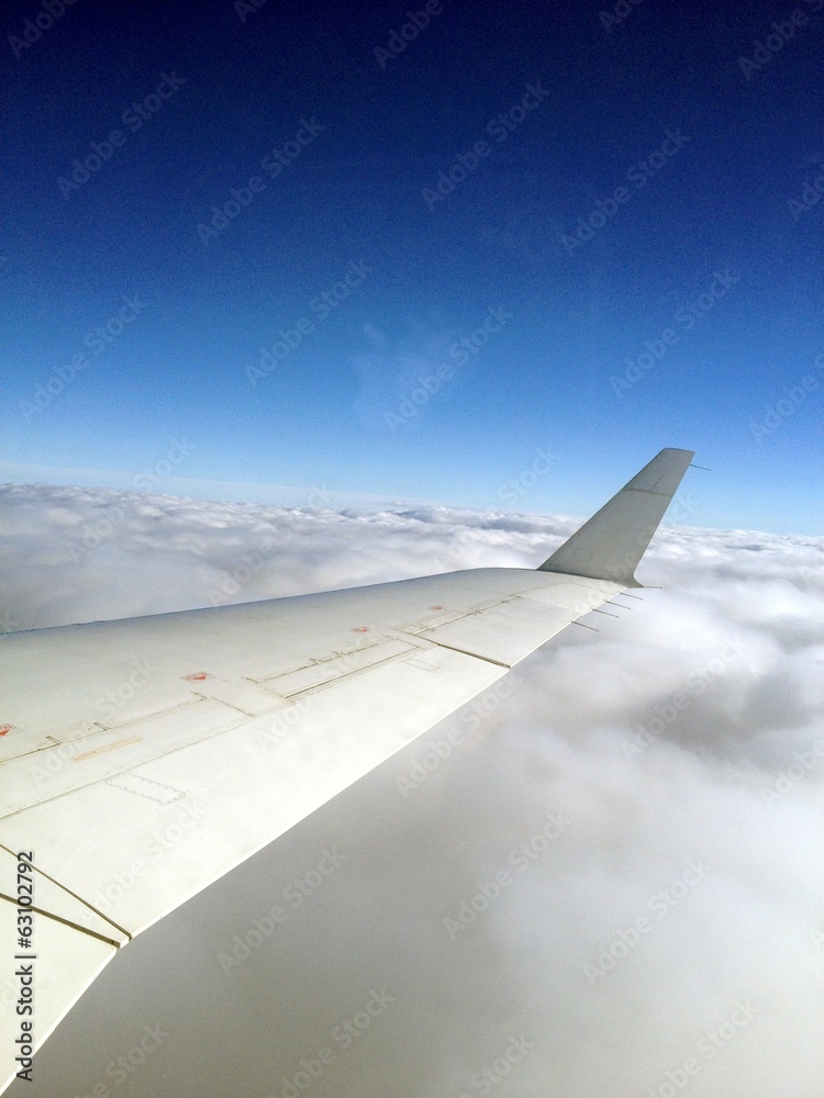 Obraz premium Aile d'avion en plein vol