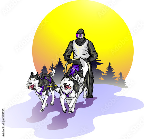 team of Siberian Huskies against a landscape