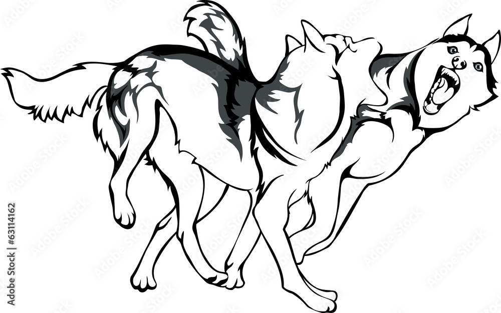 vector drawing of fighting dogs