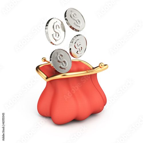 Purse and coins