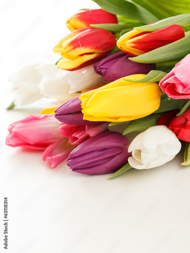 nice tulips nice tulips