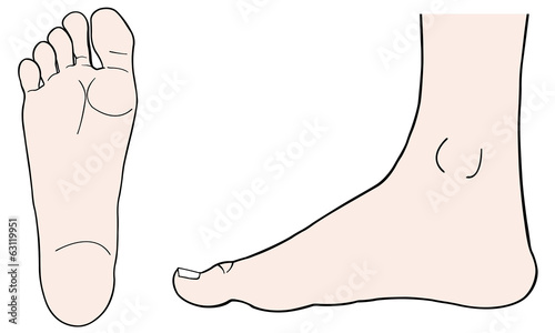 feet