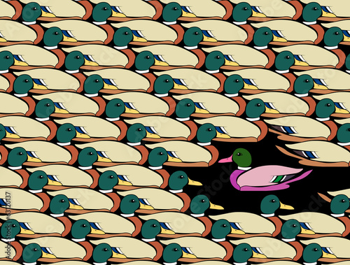 Bild auf Leinwand Duck Against The Flow