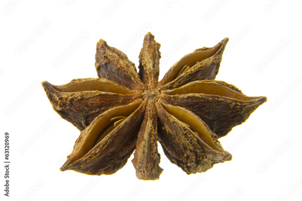Fototapeta premium Chinese anise