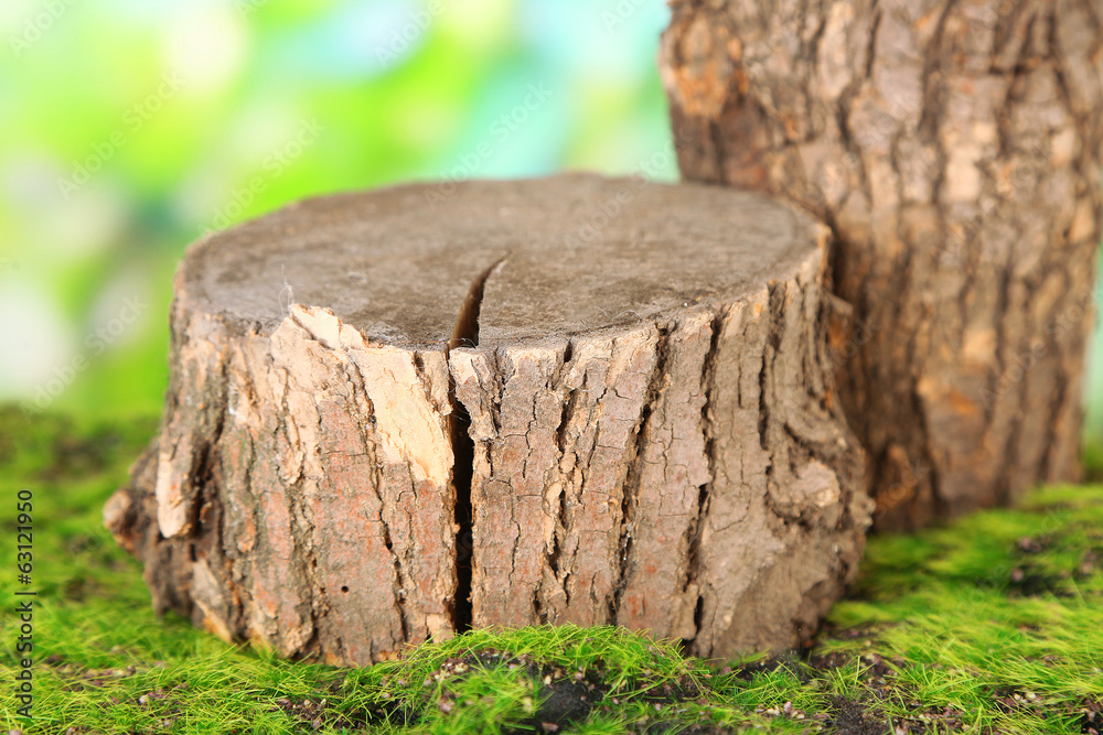 Stumps on green grass, on nature background Stumps on green grass, on nature background