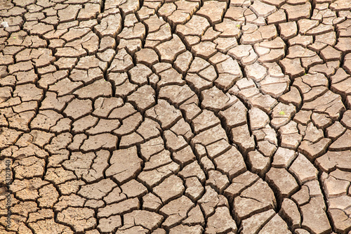 dried and cracked earth