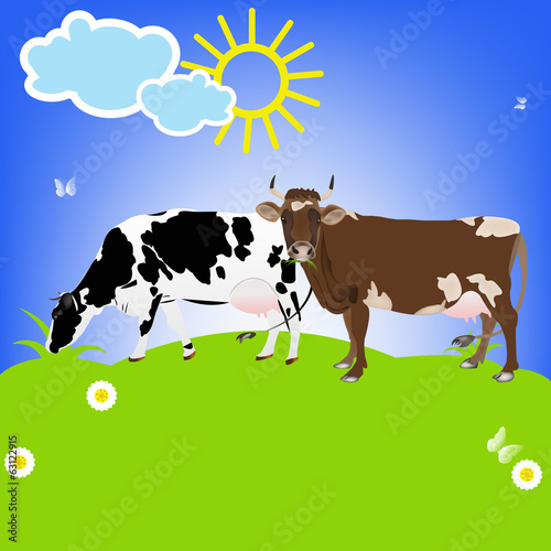 Dairy Cows on a green meadow.Sticker Natural Milk Product.Vector