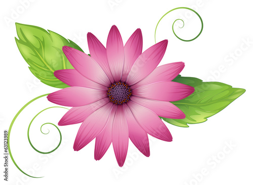 A pink flower with leaves