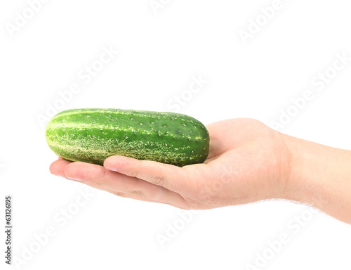 One cucumber in a human hand.
