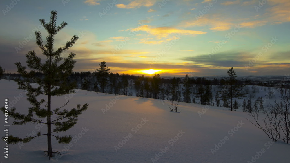 Bright sunset in winter forest