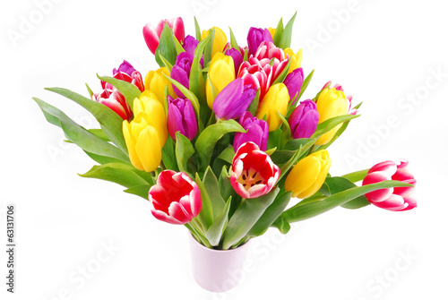 bouquet of tulip flowers isolated on white © severija