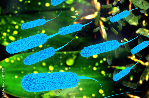 Ecoli bacterium - 3D Render