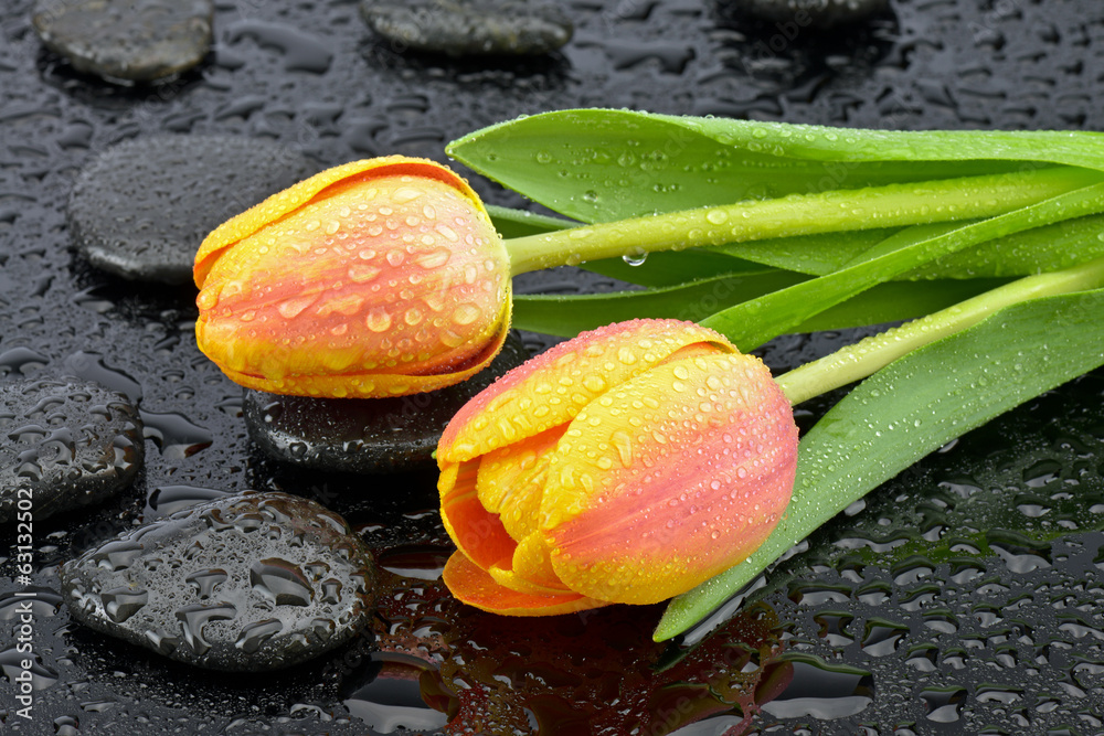 Naklejka premium Tulipany z kamieniami do spa
