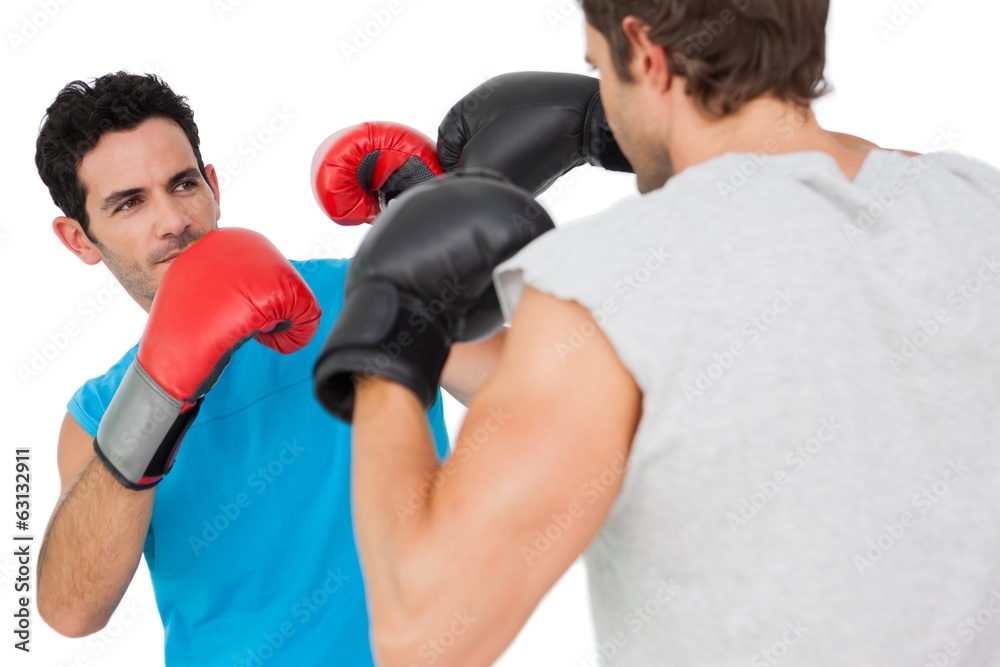 Close-up of two male boxers practicing