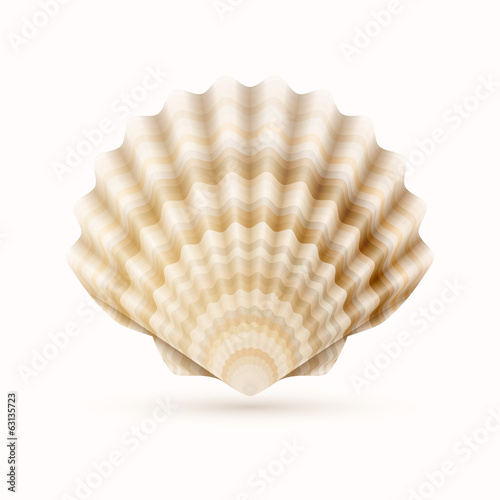 Sea shell
