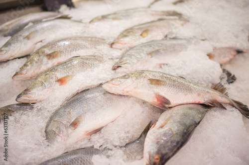 Ocaen fish on ice table in supermarket