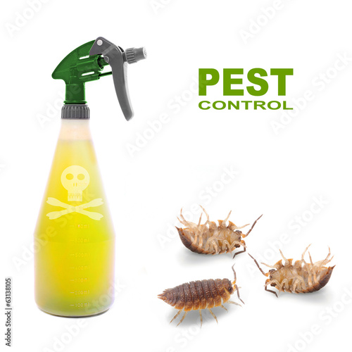 Plastic sprayer with insecticide and a bugs. Pest control. photo