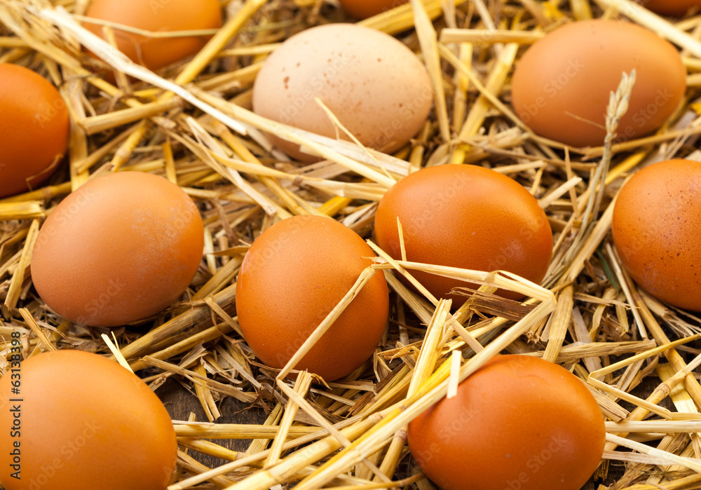 organic eggs in the hay nest organic eggs in the hay nest