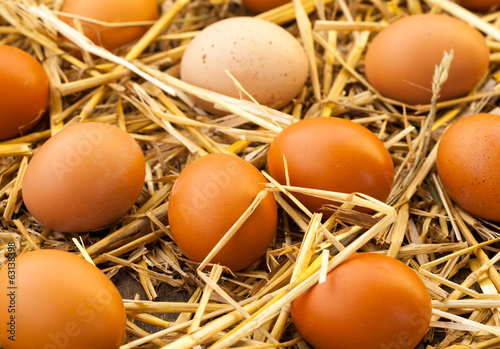 organic eggs in the hay nest