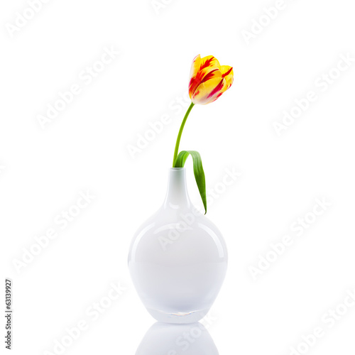Fototapeta Naklejka Na Ścianę i Meble -  Tulpe in Vase