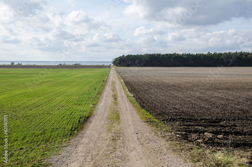 Dirt road in a rural landscpae