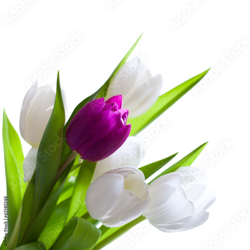 Fototapeta Naklejka Na Ścianę i Meble -  Tulpenstrauß